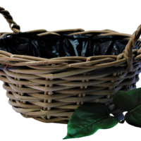 Pflanzkorb mit Griffen und Kunststoffauskleidung Aloe Vera