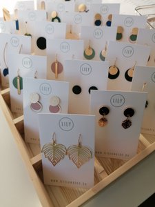 Display earrings