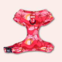 Adjustable dog harness with a vibrant Miami sunset-inspired floral print design. Made of durable, breathable material for comfortable wear. Suitable for dogs of various sizes.