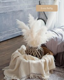 Pampas græs stor beige 120 cm