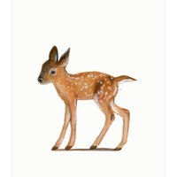 postcard | Young red deer