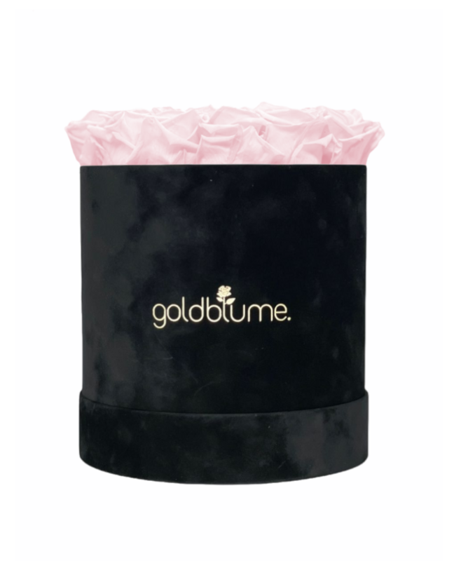 Velvet Black Collection