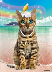 Poster Catsailor, 5 Stück