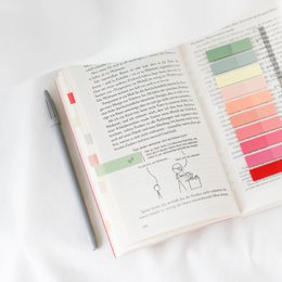 Lemonade Blooms | Ordinate Haftnotizen | Klebezettel | Haftstreifen | Haftmarker | schule zubehör | Lesezeichen | aesthetic Schreibwaren | klein index tabs | sticky notes