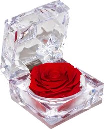 A jewel box containing a vibrant red rose. The box is made of clear, faceted crystal, showcasing the rose inside.