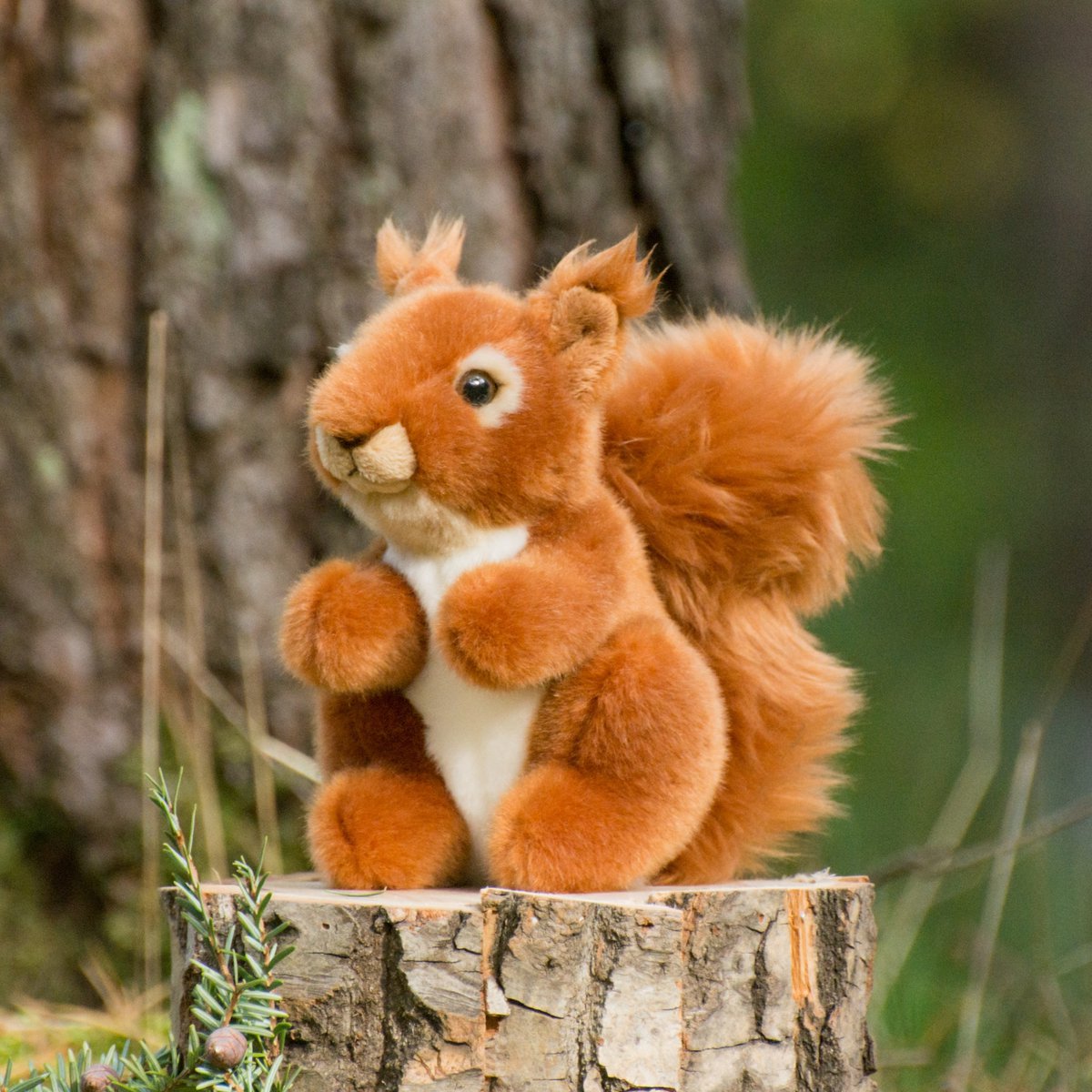 Peluche écureuil Steiff En Mohair – Authentique Et Douce (modèle 68484)