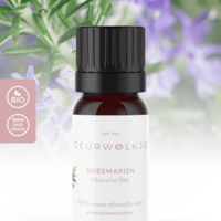 Rosmarin – 100 % ätherisches Öl – 5 und 10 ml – empfohlener Verkaufspreis 7,95 €/9,95 €