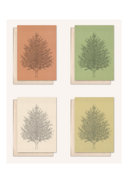 Carta sostenibile + busta | Albero d'ambra | rosmarino