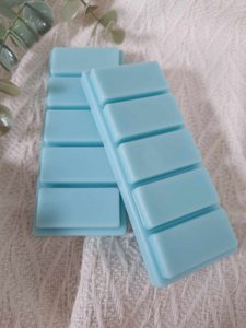 Enchanted forest Waxmelt reep