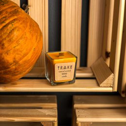 SEASONAL PUMPKIN, CINNAMON SPICED VANILLA CANDLE | NATURAL SCENTED MINI CANDLE
