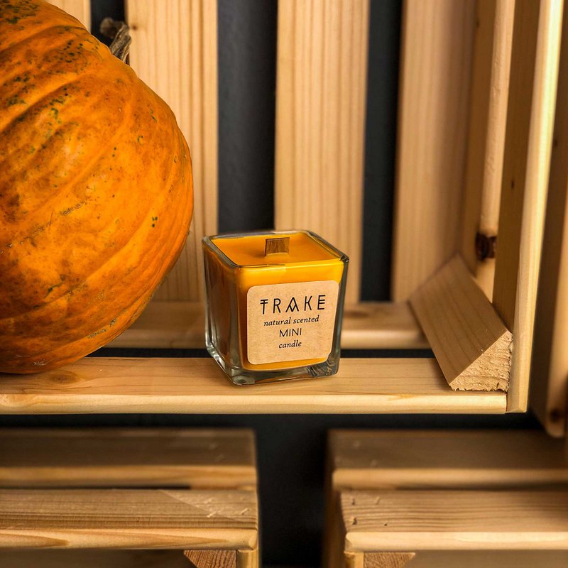 SEASONAL PUMPKIN, CINNAMON SPICED VANILLA CANDLE | NATURAL SCENTED MINI CANDLE