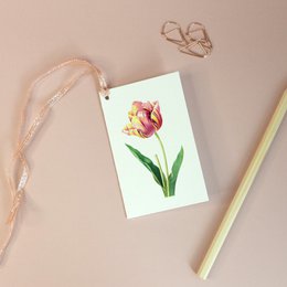  Botanical vintage gift tags featuring a hand-painted tulip design in warm colors.