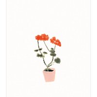 postcard | Geranium