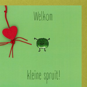 Willkommen, kleiner Spross