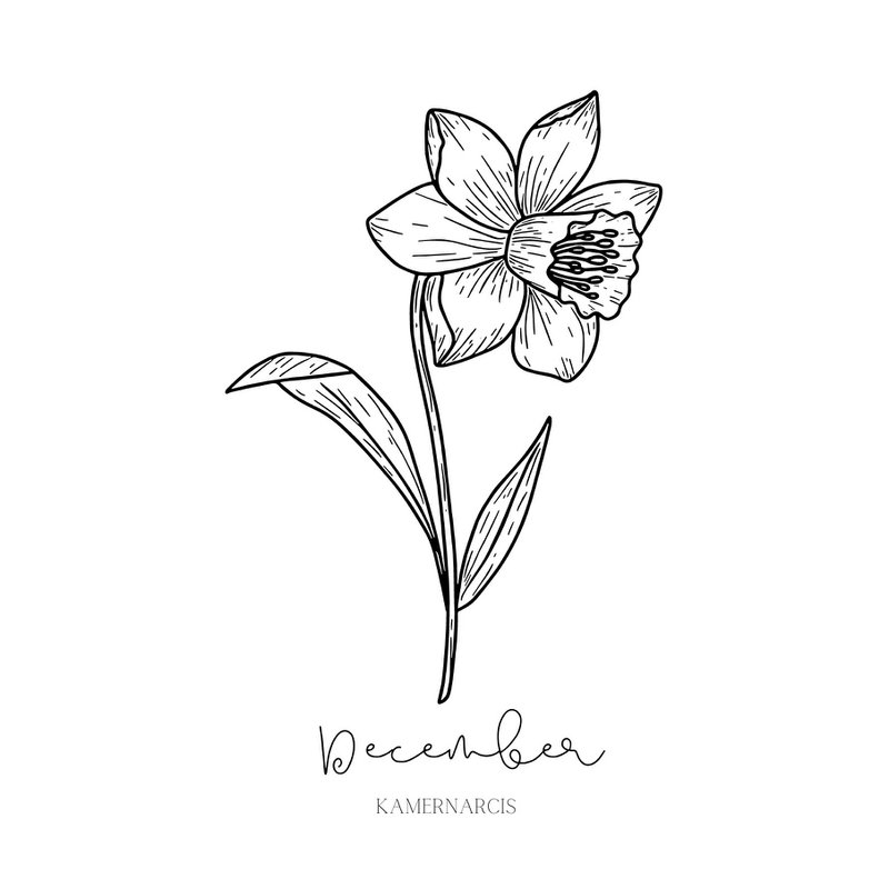 Geburts-Blumenfliese | September