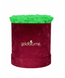 Velvet Bordeaux Collection