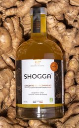 Bio- und französisches Premium-Ingwergetränk (36 Flaschen) – VOLLSTÄNDIGES SHOGGA-UMSETZUNGSKIT