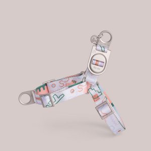 Matteo Harness