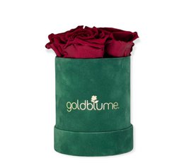 Colección Terciopelo Verde