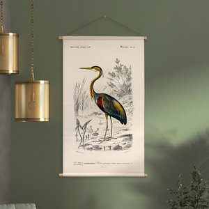 Textile poster with leather cord - Illustration Reiger D'Orbigny 65x45 cm - wall cloth