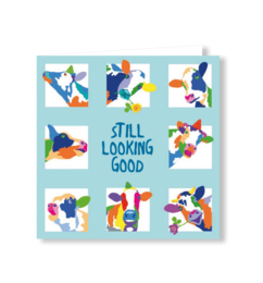  Colorful birthday card with playful cows, "Still Looking Good" text, light blue background, grid design layout.