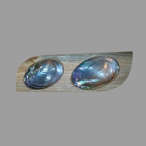 Tray abalone double