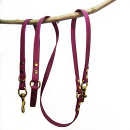 Adjustable dog leash