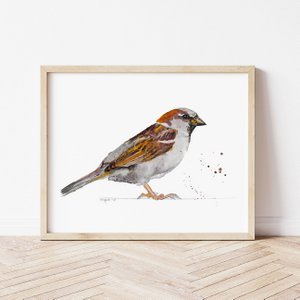 Huismus vogel Print A4 en A3