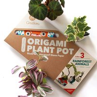 3 OriBon - Rainforest animals collection