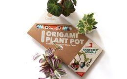 Hexagonal plant pot with colorful rainforest animal designs, made of recycled materials.