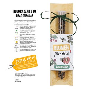 Blumensamen im Reagenzglas H.21 cm