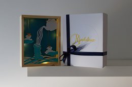 Aquarius light frame