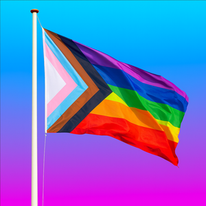 Regenboogvlag Progess 90 x 150 cm | Pride vlag | LHBTI+