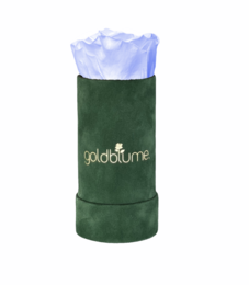 Colección Terciopelo Verde