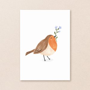 Postcard | Robin | Birds