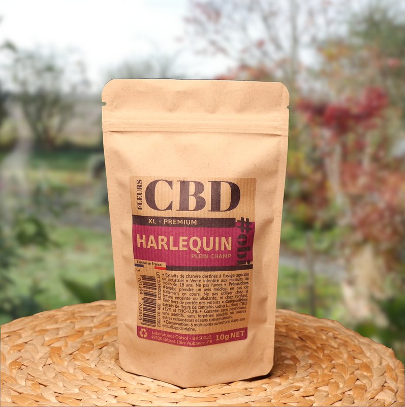 Harlequin XL CBD blomster
