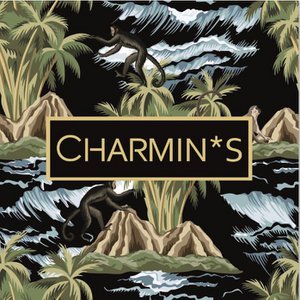 5537 Charmins Verpackung/Display