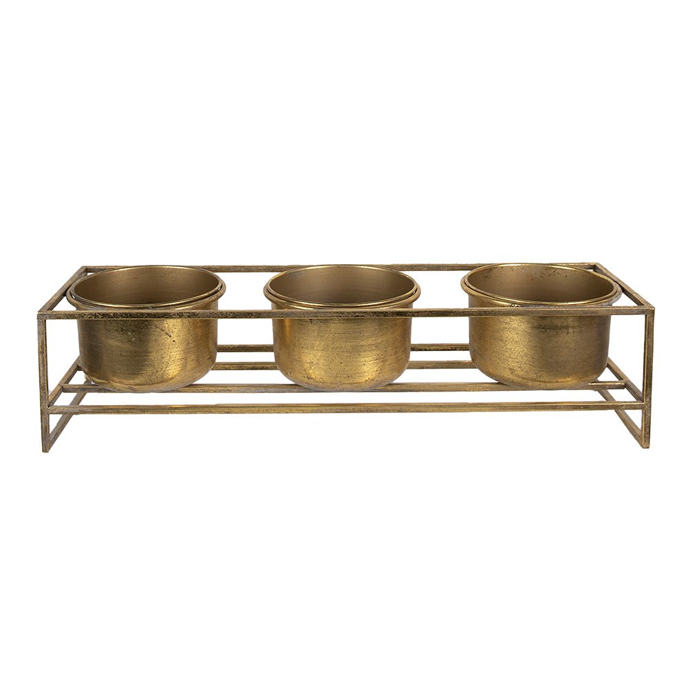 Plantenstandaard 63x19x16 cm Goudkleurig IJzer