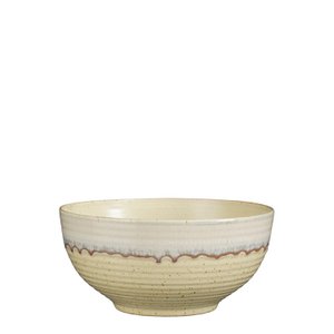 Ethan slabak gebroken wit