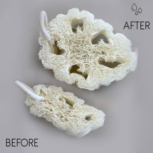 Egyptian Luxury Loofah with Cotton String - Non-Compressed