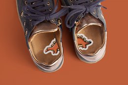Dinosauri - Adesivi per scarpe