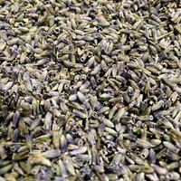 Organic lavandin flower "extra clean" quality