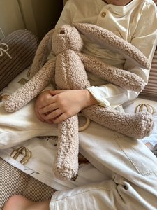 Beige musikalisches Kaninchen mit Namen