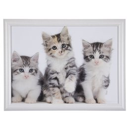 A rectangular serving plate featuring a charming image of three adorable kittens. The plate is made of a durable material and has a white frame around the image.