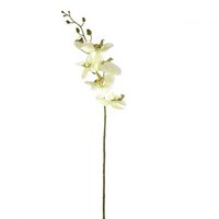 Orchidee - Zachtgroen - 85cm