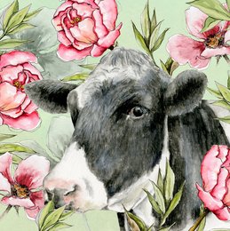 A black and white cow's face surrounded by vibrant pink peony flowers on a green background.