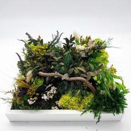 Firkantet stabiliseret plantebillede 20 x 20 cm