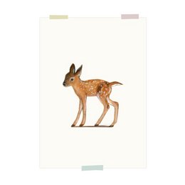 A young red deer fawn standing in a natural setting, with its distinctive spotted coat and alert expression.