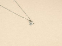 Ketting rock, ster en berg kristal, zilver of goud stainless steel