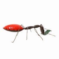 METALEN GROTE RODE MIEREN LV